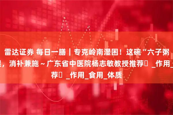 雷达证券 每日一膳｜专克岭南湿困！这碗“六子粥”健脾祛湿，消补兼施～广东省中医院杨志敏教授推荐​_作用_食用_体质