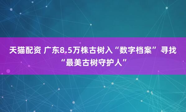 天猫配资 广东8.5万株古树入“数字档案” 寻找“最美古树守护人”